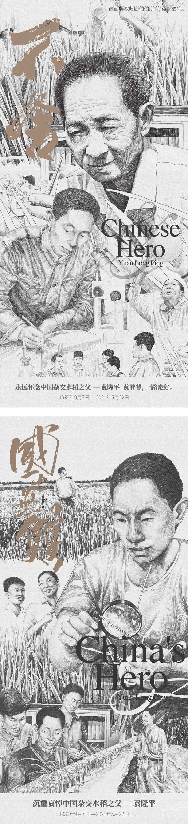 地产热点缅怀院士水稻插画微信海报-采灵感-cailinggan.com