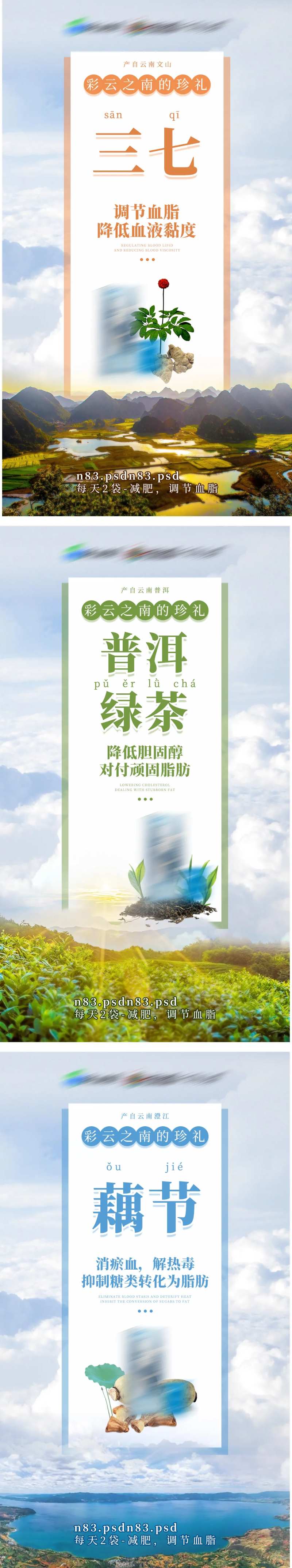 血脂瘦身系列海报-采灵感-cailinggan.com