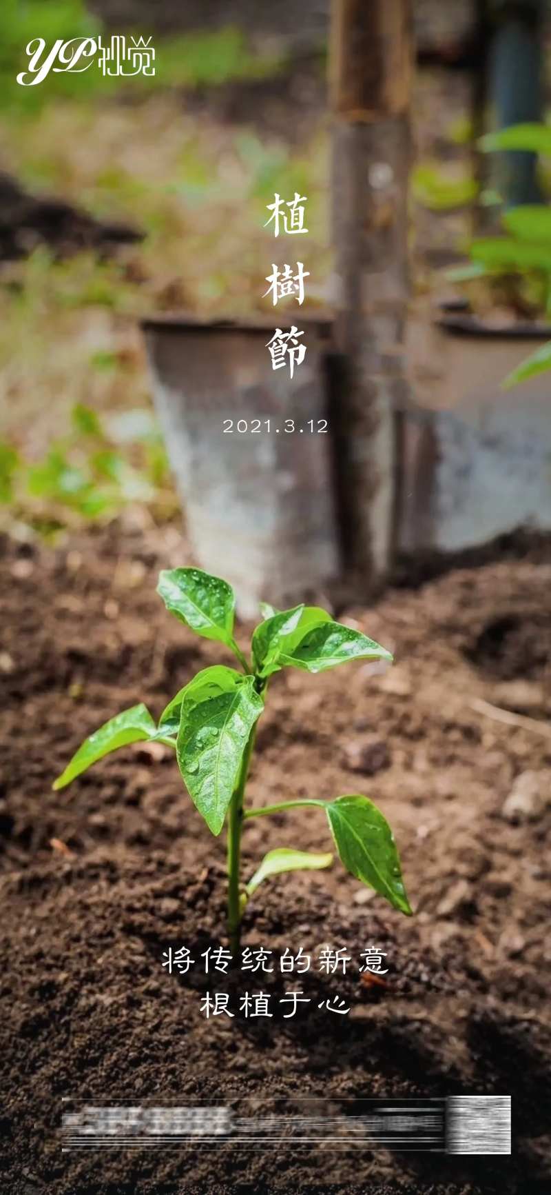 地产植树节海报-采灵感-cailinggan.com