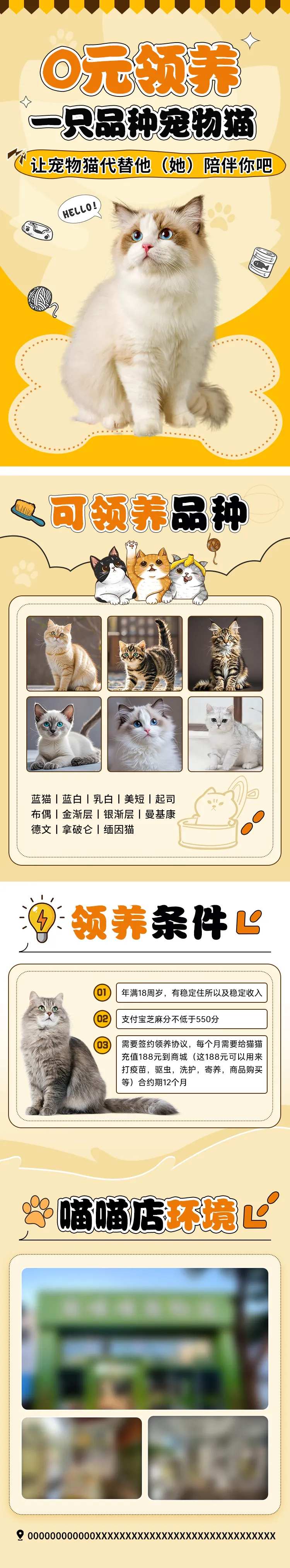 宠物领养活动长图-采灵感-cailinggan.com