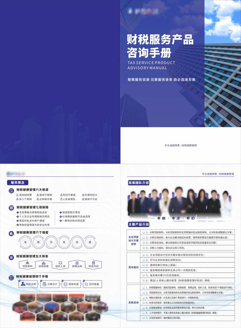 财税服务产品咨询手册宣传册-采灵感-cailinggan.com