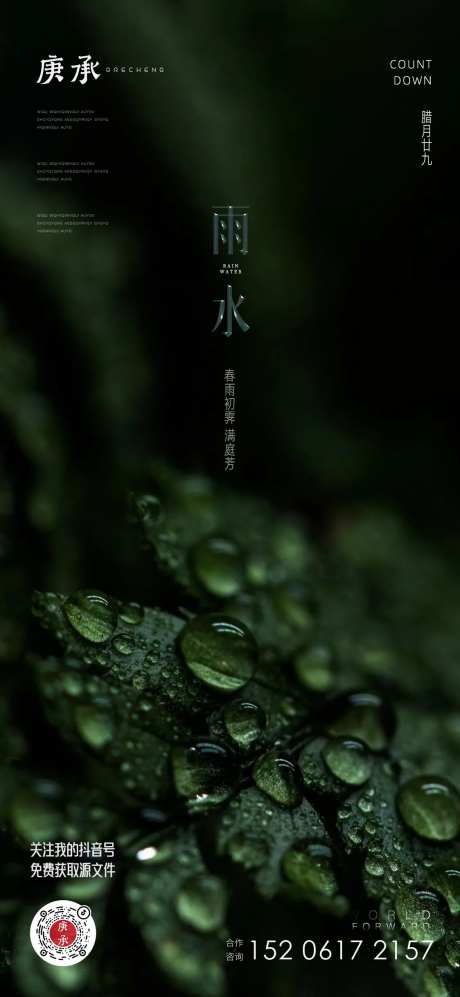 雨水绿叶海报-采灵感-https://www.cailinggan.com/