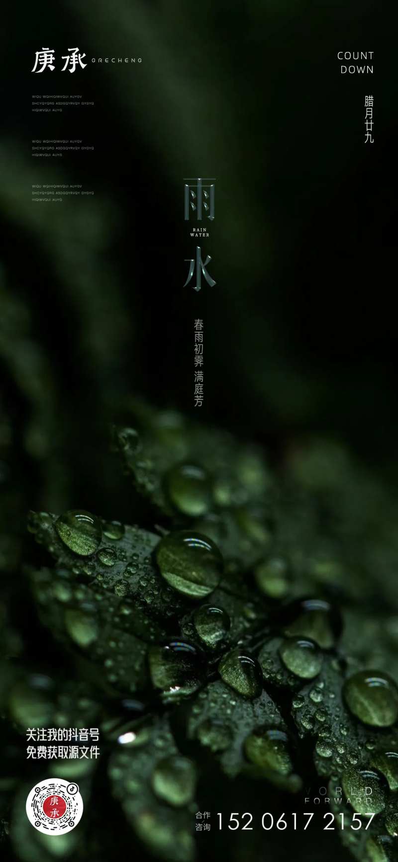 雨水绿叶海报-采灵感-cailinggan.com