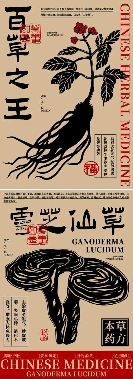 人参灵芝中草药手绘插画海报-采灵感-https://www.cailinggan.com/
