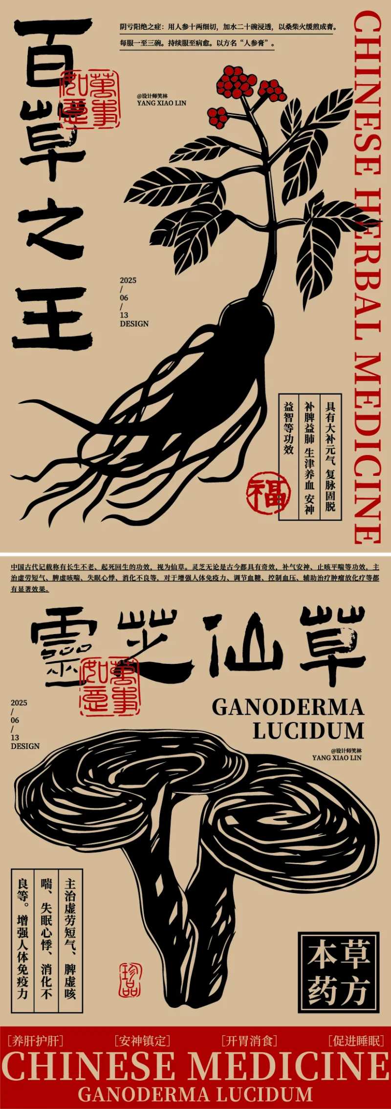 人参灵芝中草药手绘插画海报-采灵感-cailinggan.com