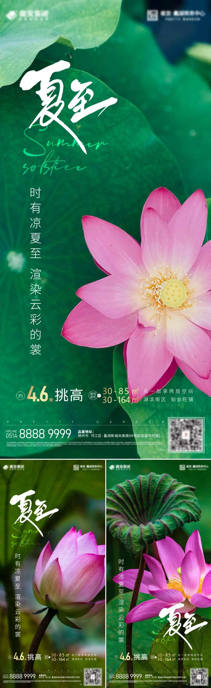 夏至荷塘系列海报-采灵感-cailinggan.com