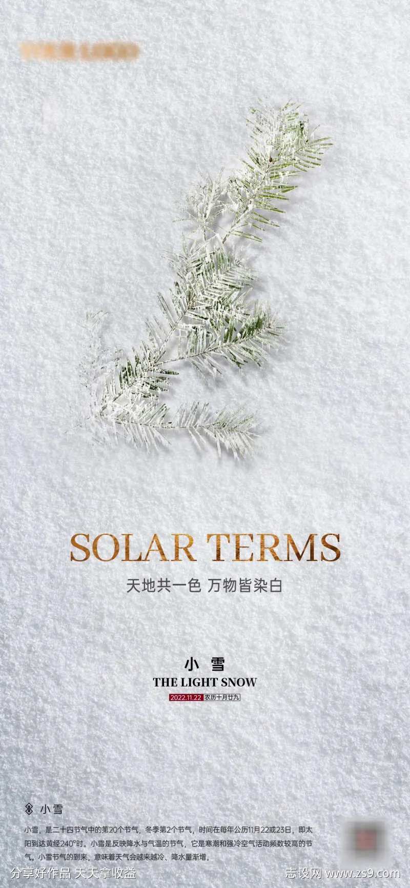 小雪雪松节气海报-采灵感-cailinggan.com