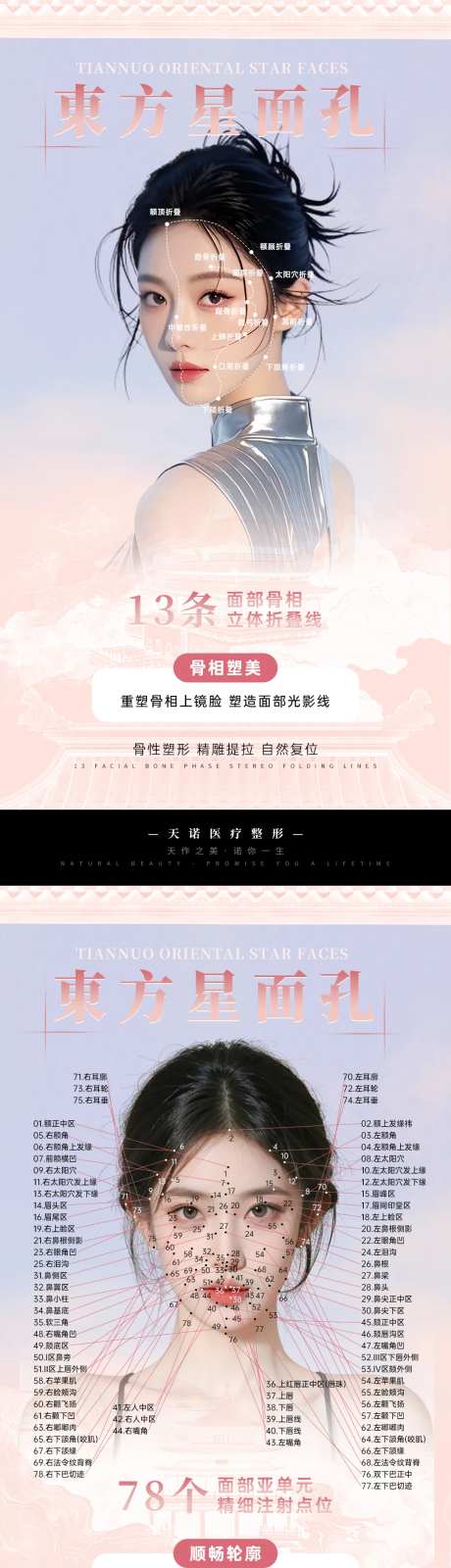 面部美学优化区域划分海报-采灵感-https://www.cailinggan.com/