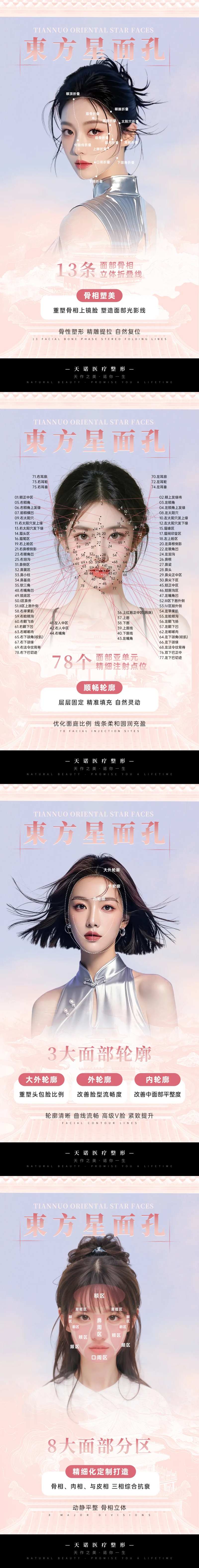 面部美学优化区域划分海报-采灵感-cailinggan.com