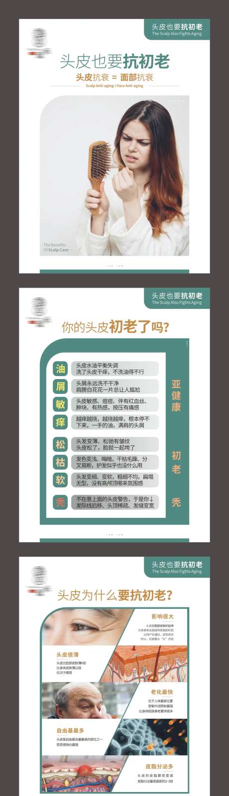 头皮护理知识美发方案海报-采灵感-https://www.cailinggan.com/