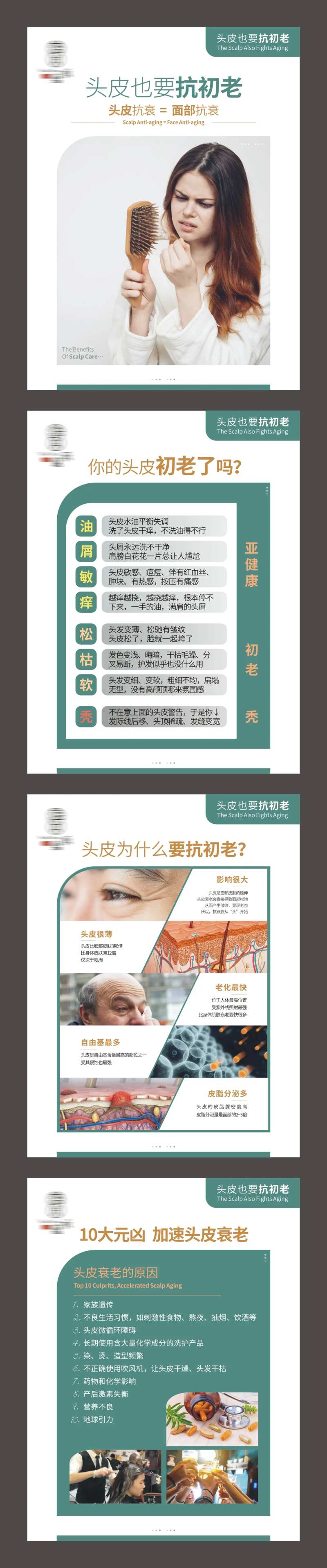 头皮护理知识美发方案海报-采灵感-cailinggan.com