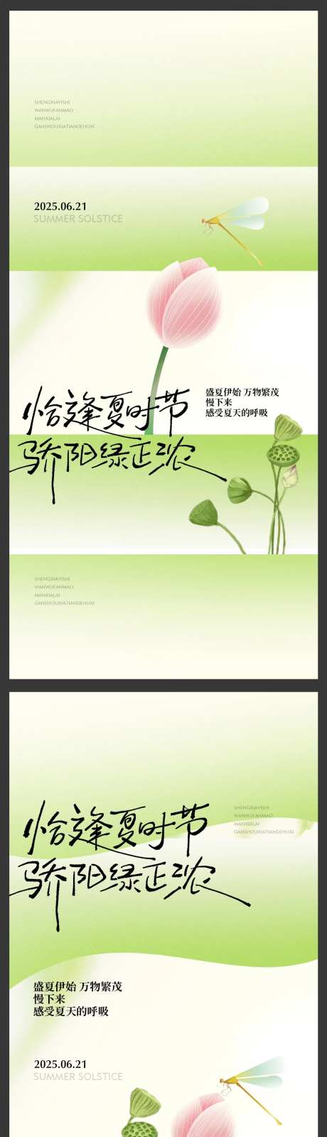 夏至节气蜻蜓荷花荷叶简约高级微单-采灵感-https://www.cailinggan.com/