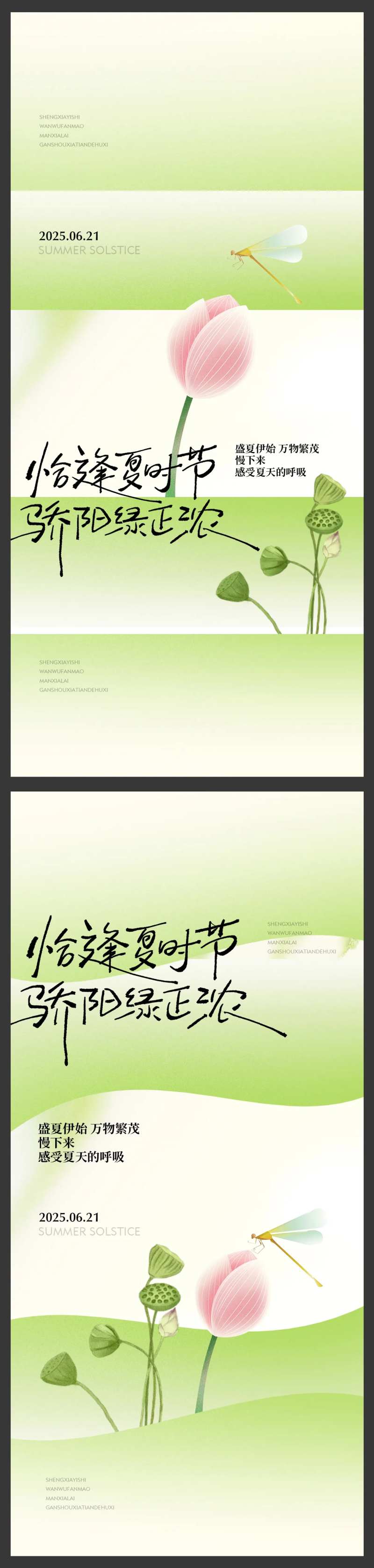 夏至节气蜻蜓荷花荷叶简约高级微单-采灵感-cailinggan.com