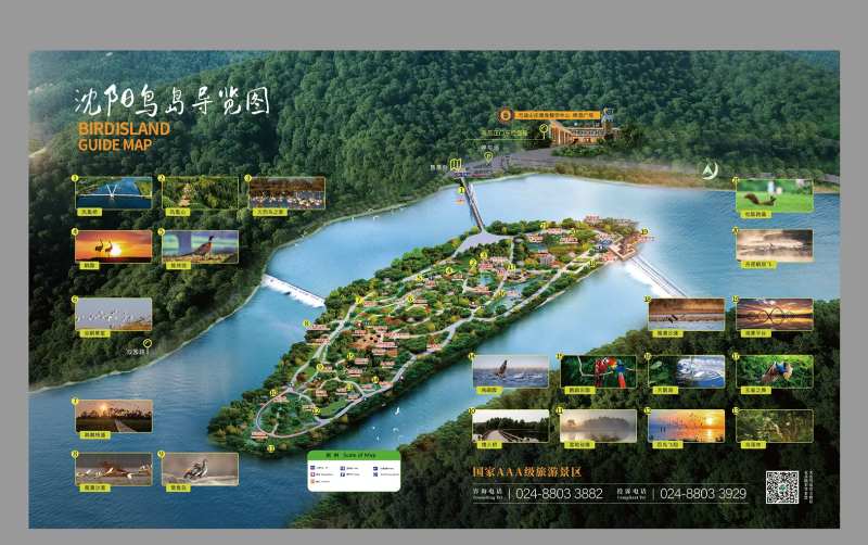 沈阳鸟岛导游图海报-采灵感-cailinggan.com
