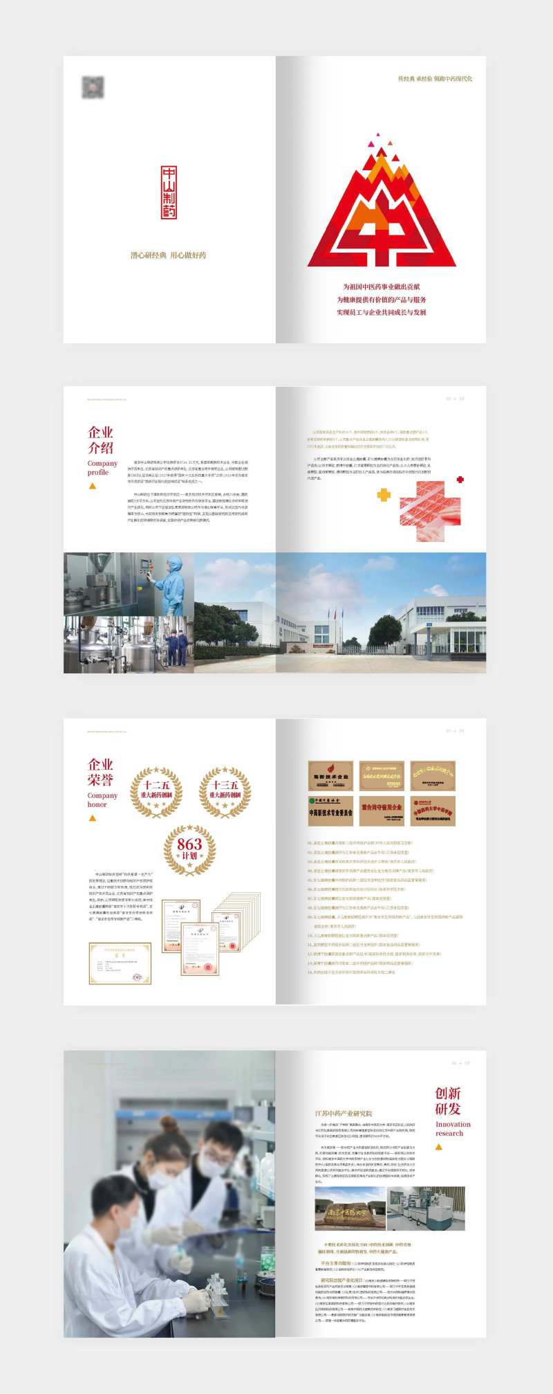 红色药企医药产品手册-采灵感-cailinggan.com