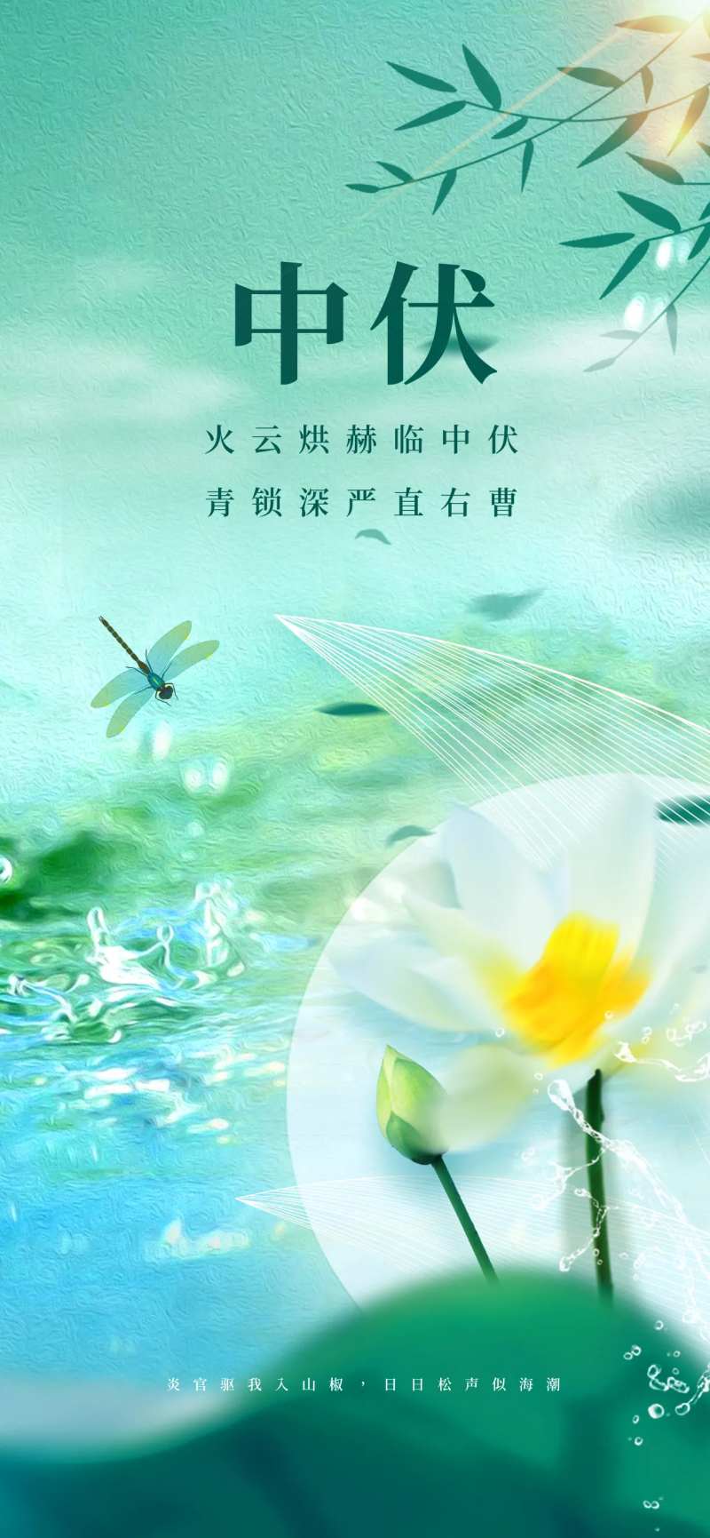 三伏天海报-采灵感-cailinggan.com