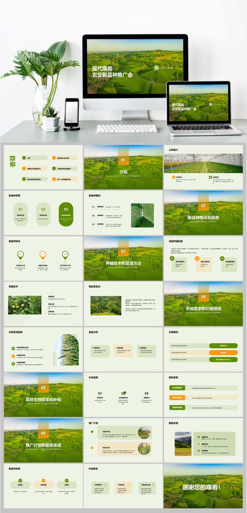 农业新品种推广会发布会PPT模板-采灵感-cailinggan.com
