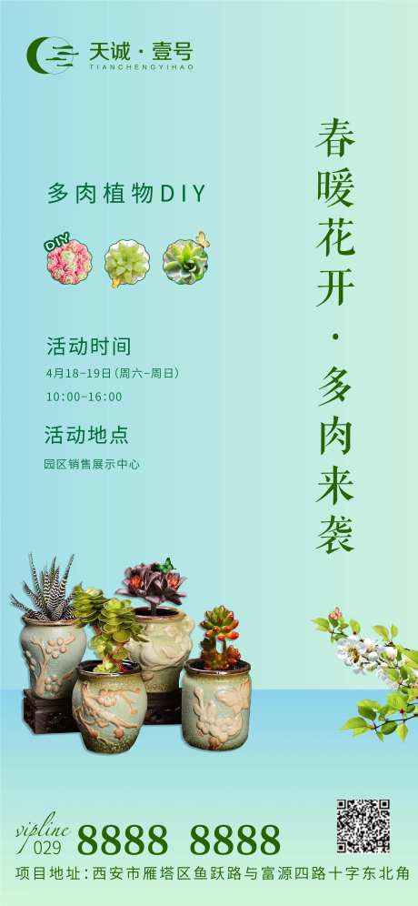 多肉植物周末暖场-采灵感-https://www.cailinggan.com/