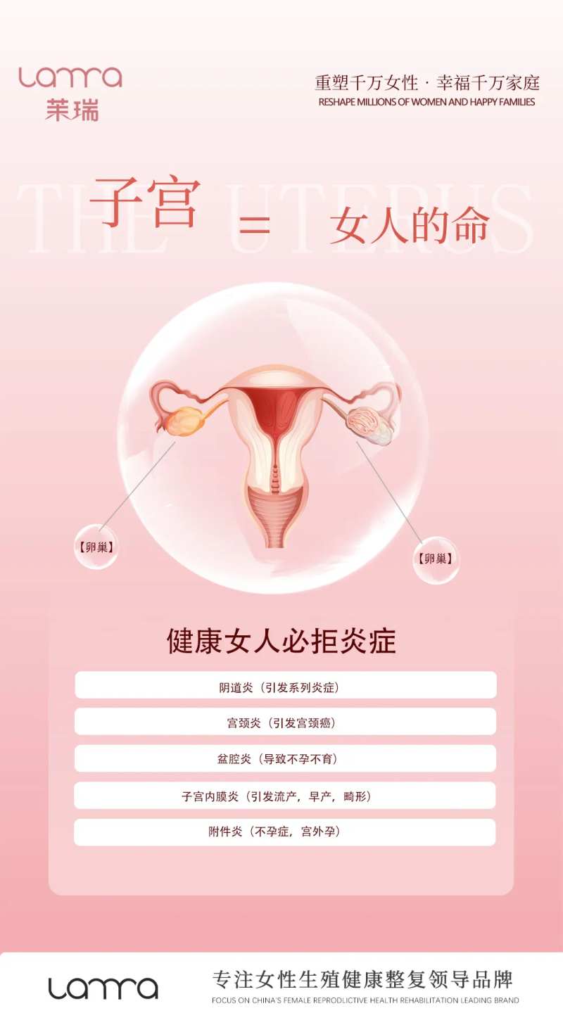 私密子宫海报-采灵感-cailinggan.com
