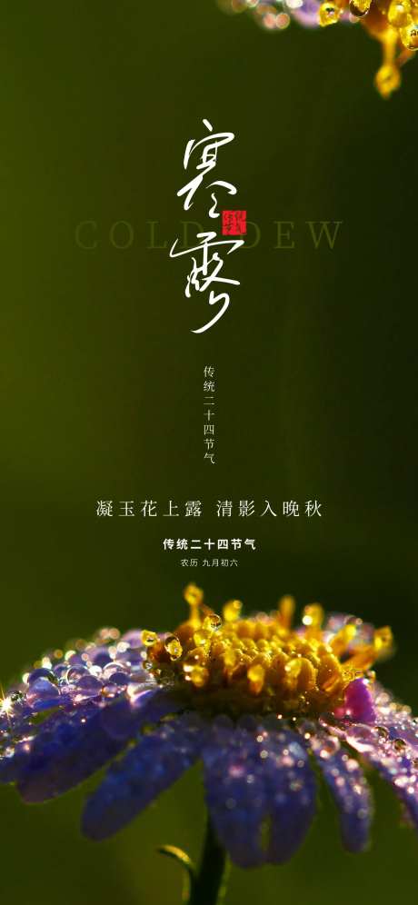 寒露深色二十四节气露水露珠花蕊海报-采灵感-https://www.cailinggan.com/