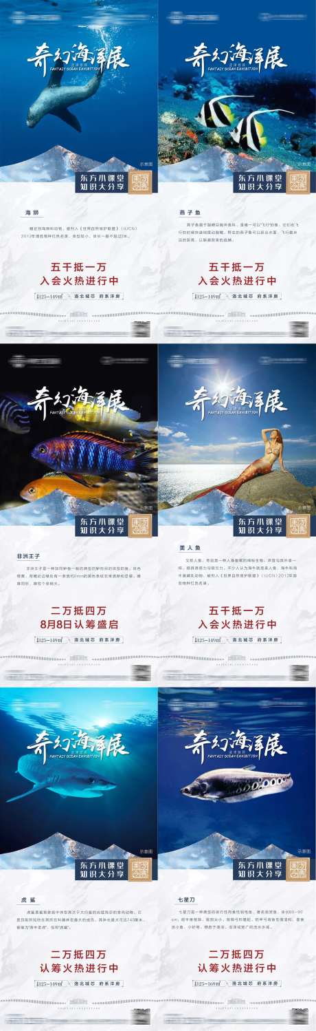 海洋节系列价值点海报-采灵感-https://www.cailinggan.com/