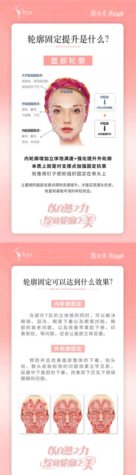 轮廓固定美学科普海报-采灵感-https://www.cailinggan.com/