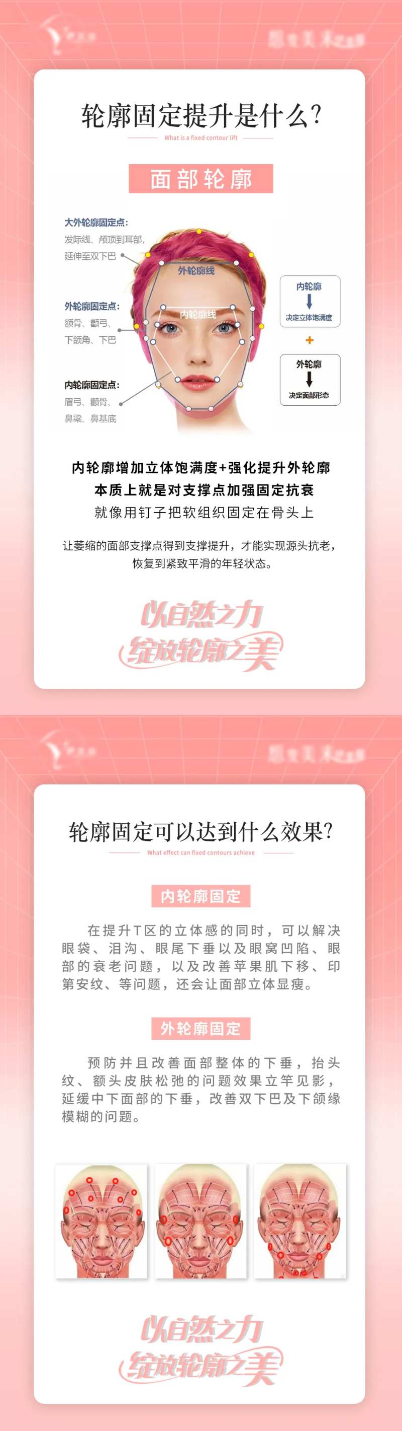 轮廓固定美学科普海报-采灵感-cailinggan.com