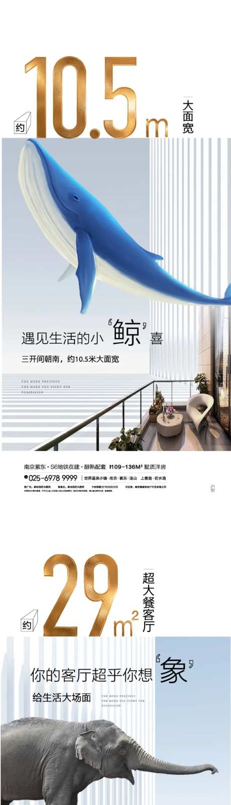 户型鲸鱼大象蝴蝶-采灵感-https://www.cailinggan.com/