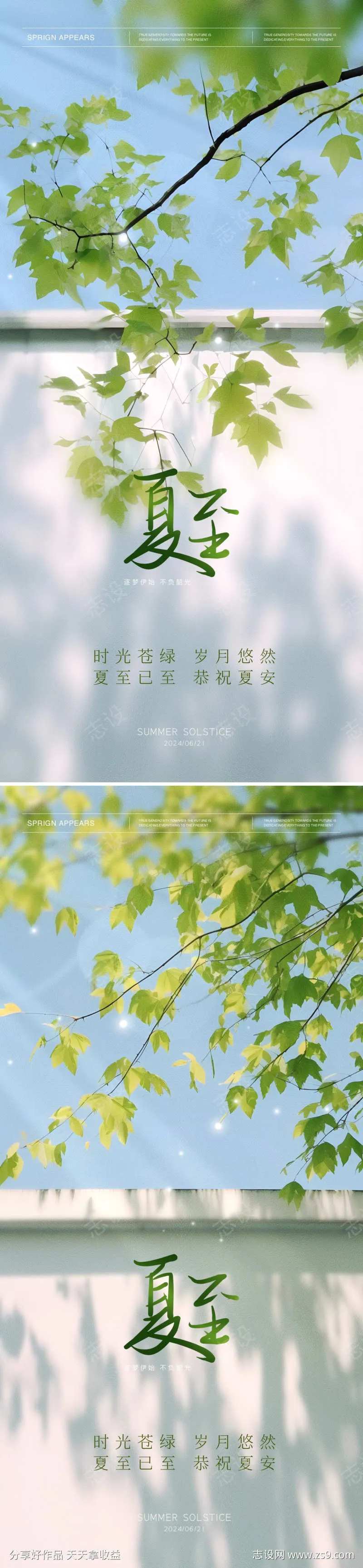 夏至极简海报-采灵感-cailinggan.com