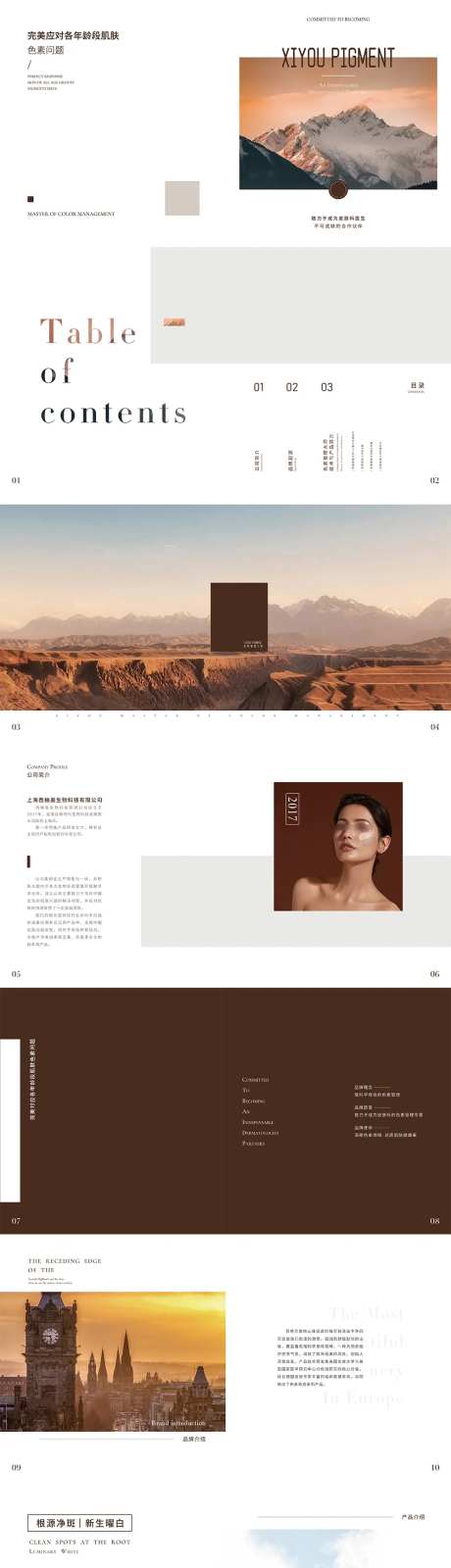 棕色系医美护肤祛色素产品宣发画册-采灵感-https://www.cailinggan.com/