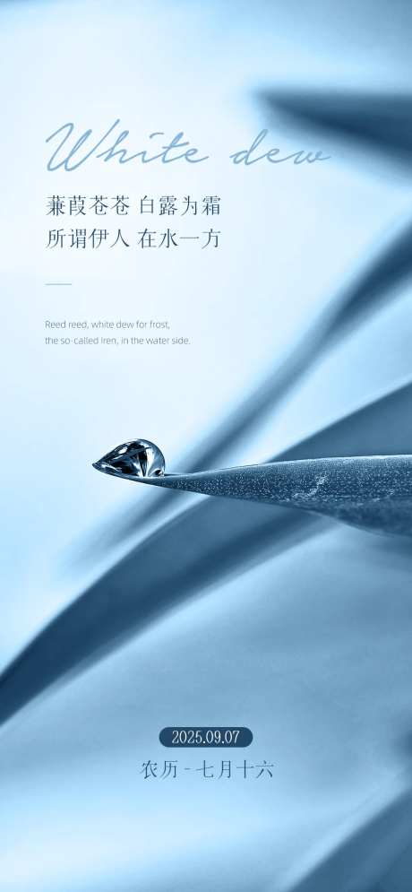 白露节气露水蓝色海报-采灵感-https://www.cailinggan.com/