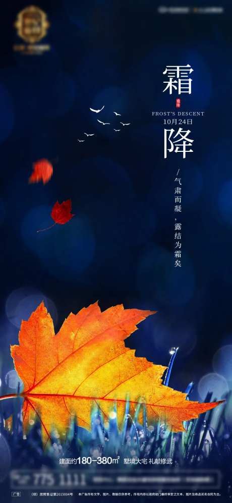 霜降节气海报-采灵感-https://www.cailinggan.com/