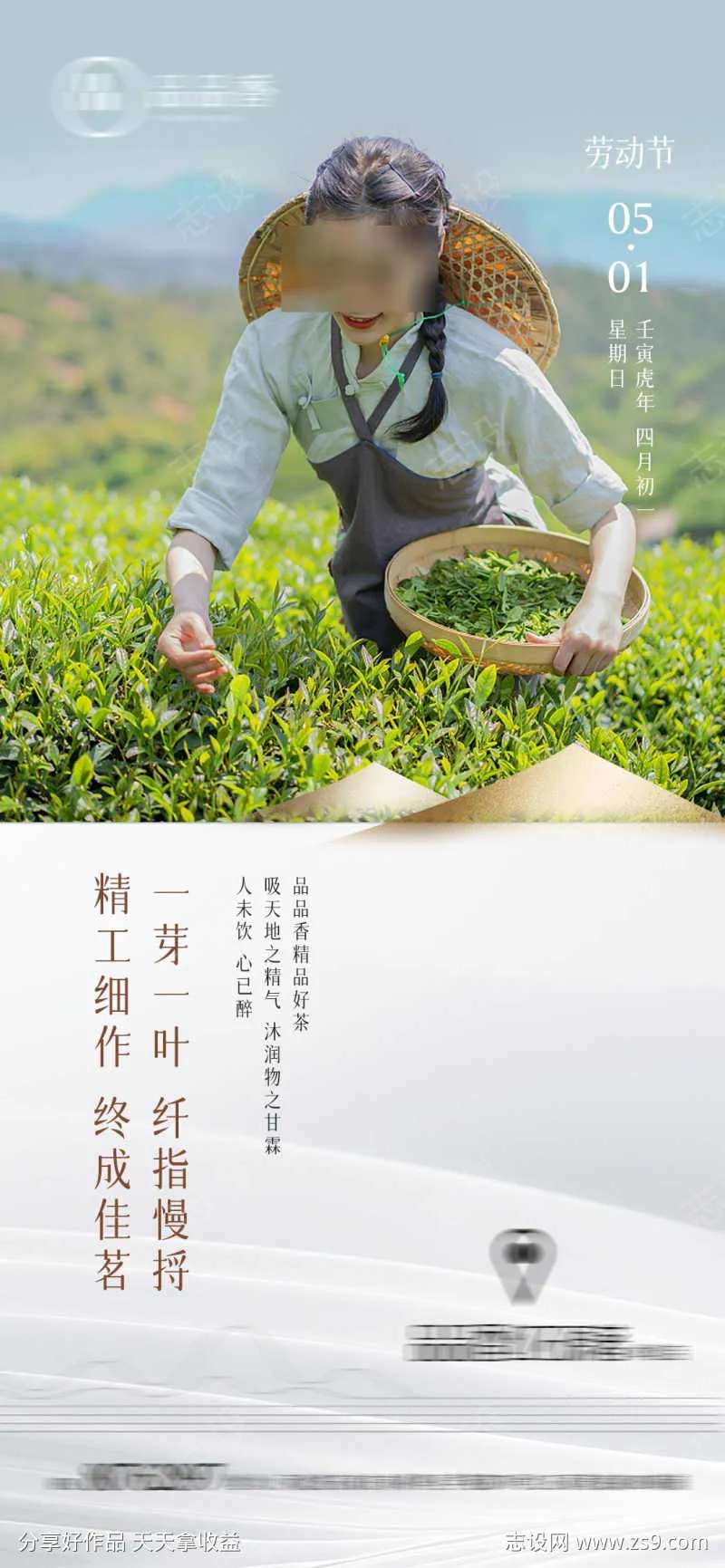 51五一劳动节采茶茶业茶叶-采灵感-cailinggan.com