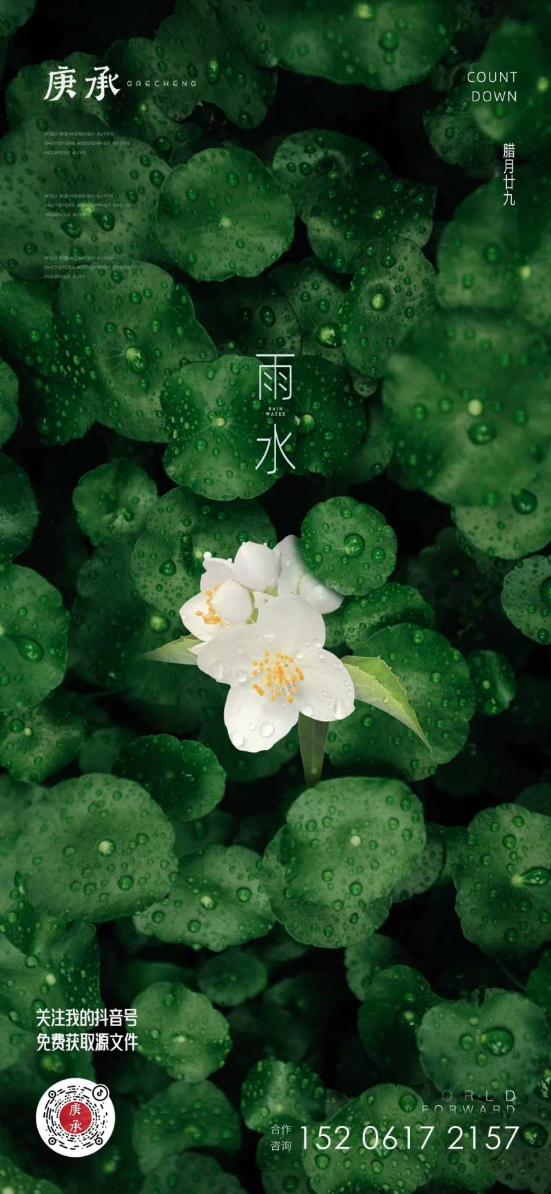 雨水绿叶节气海报-采灵感-cailinggan.com