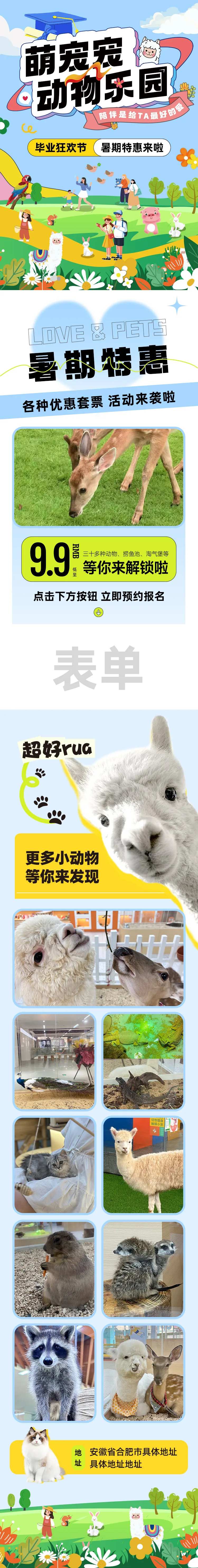 动物园萌宠乐园猫咖体验馆长图-采灵感-cailinggan.com