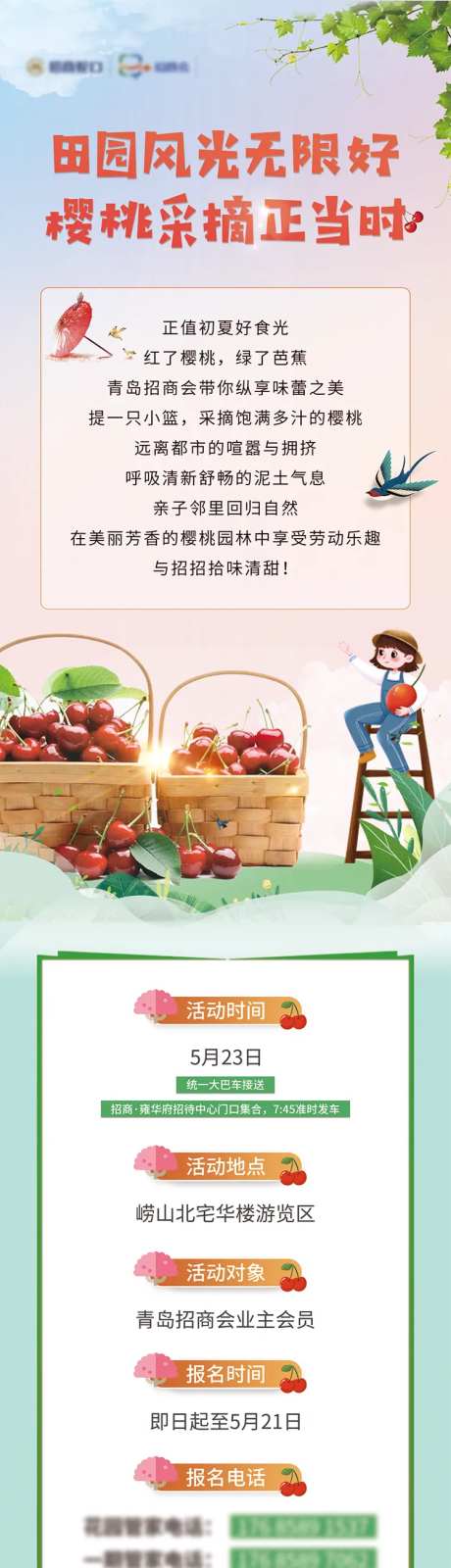 樱桃采摘长图文-采灵感-https://www.cailinggan.com/
