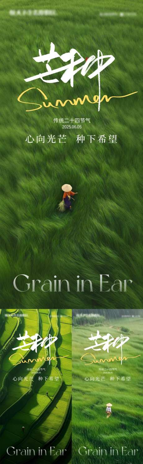 芒种丰收麦穗麦田稻田-采灵感-https://www.cailinggan.com/