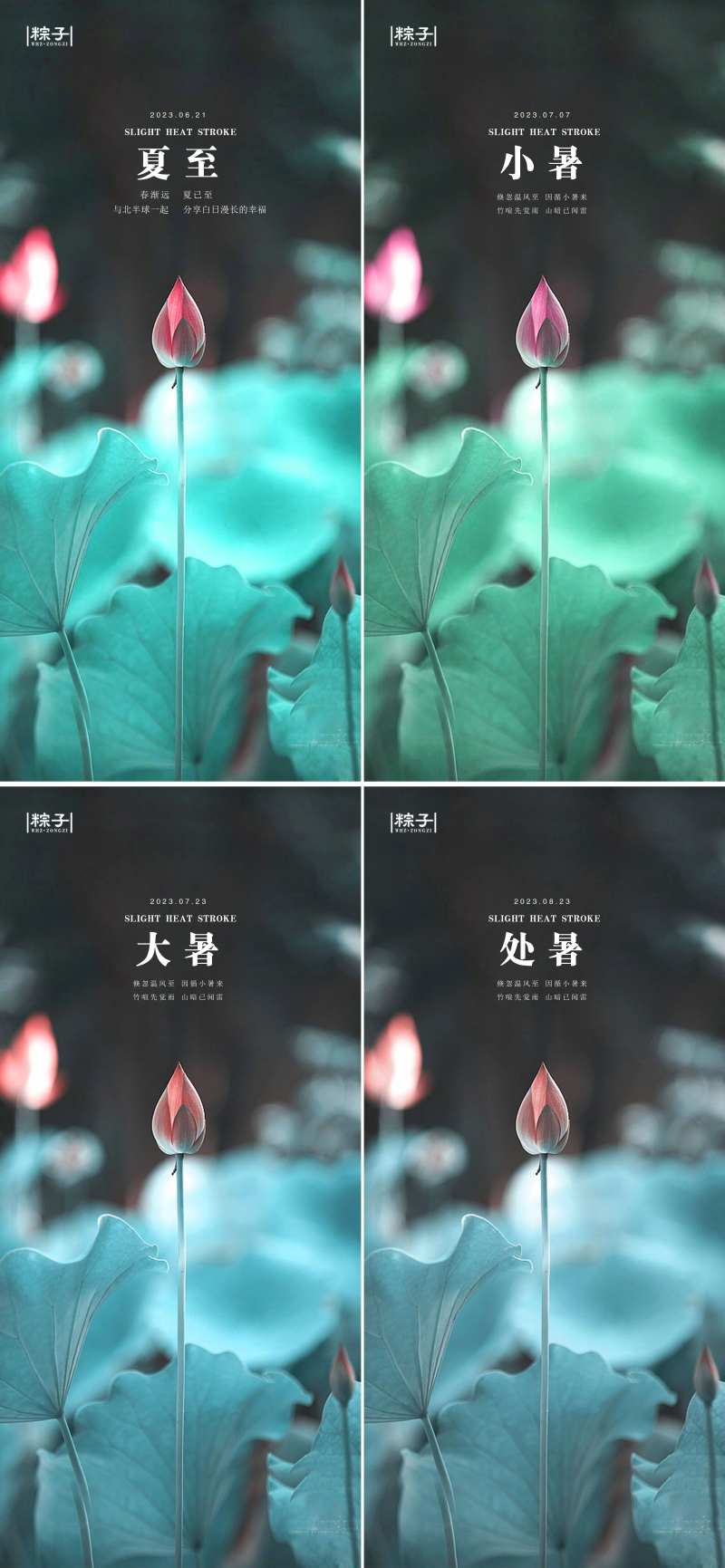 夏季节气海报-采灵感-cailinggan.com