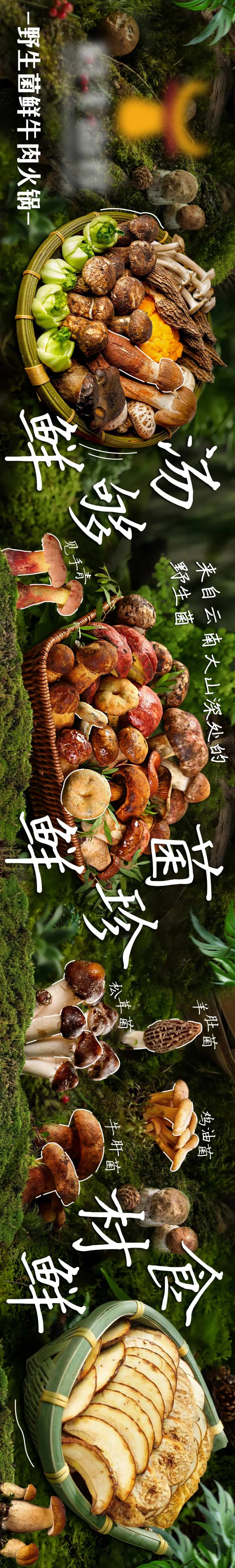 夏季菌子五图-采灵感-cailinggan.com