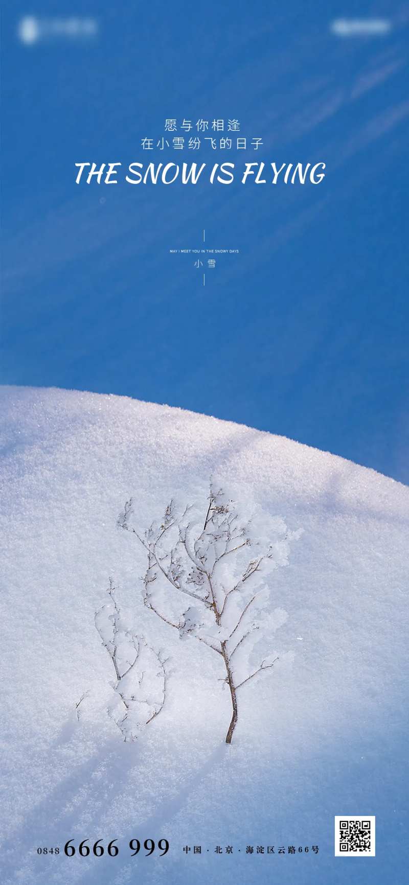 小雪简约大气海报-采灵感-cailinggan.com