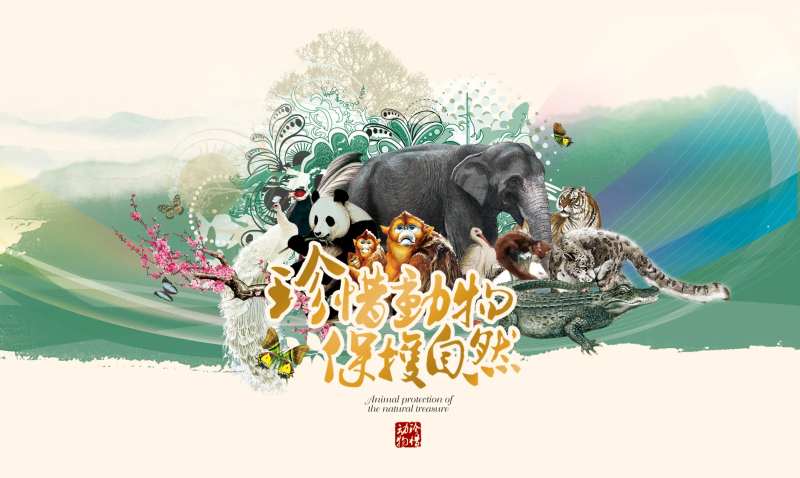 珍惜动物保护自然活动背景板-采灵感-cailinggan.com