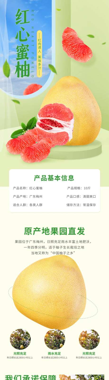生鲜柚子蜜柚红心柚电商详情页-采灵感-https://www.cailinggan.com/