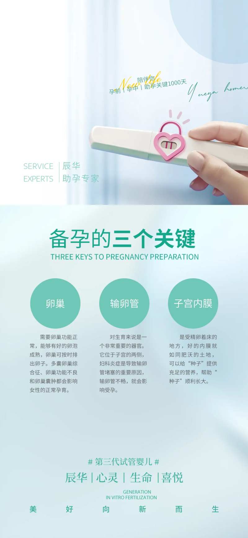 备孕科普海报-采灵感-cailinggan.com