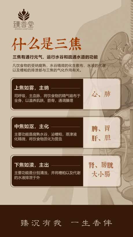 中医养生科普海报-采灵感-https://www.cailinggan.com/