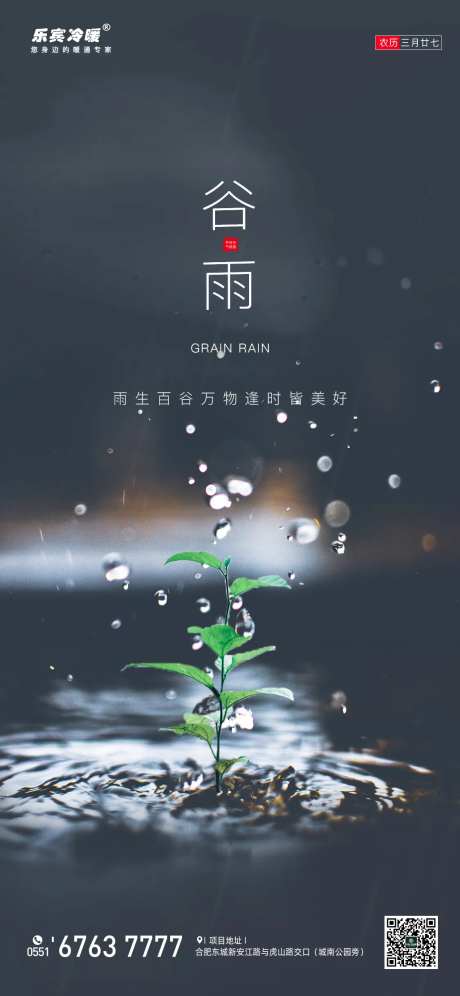 谷雨节气海报-采灵感-cailinggan.com