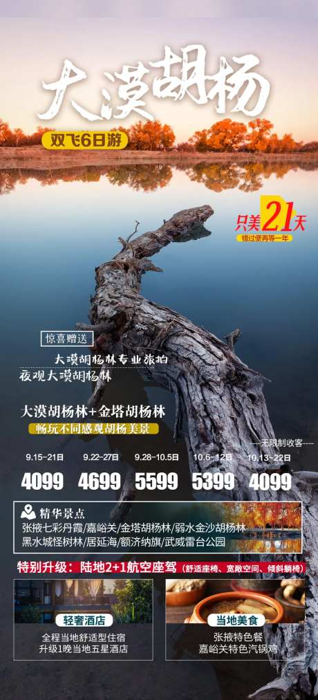 西北青甘额济纳旅游海报-采灵感-https://www.cailinggan.com/