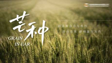 二十四节气芒种海报-采灵感-https://www.cailinggan.com/