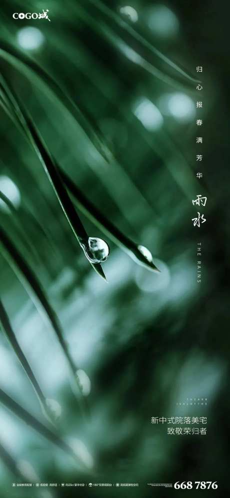雨水季节节气海报-采灵感-https://www.cailinggan.com/