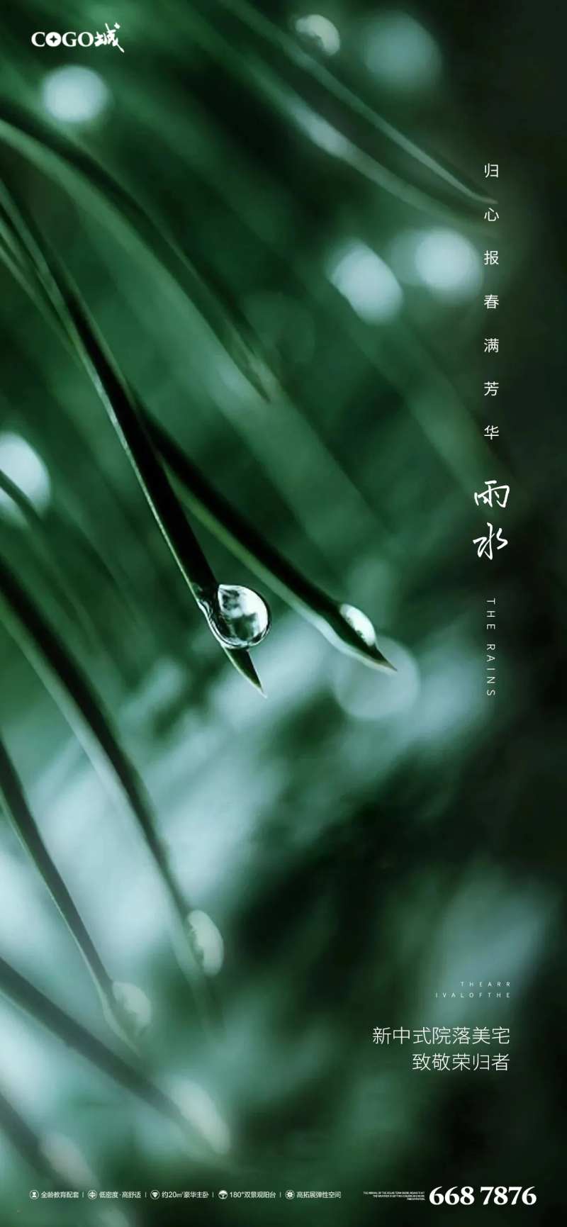 雨水季节节气海报-采灵感-cailinggan.com