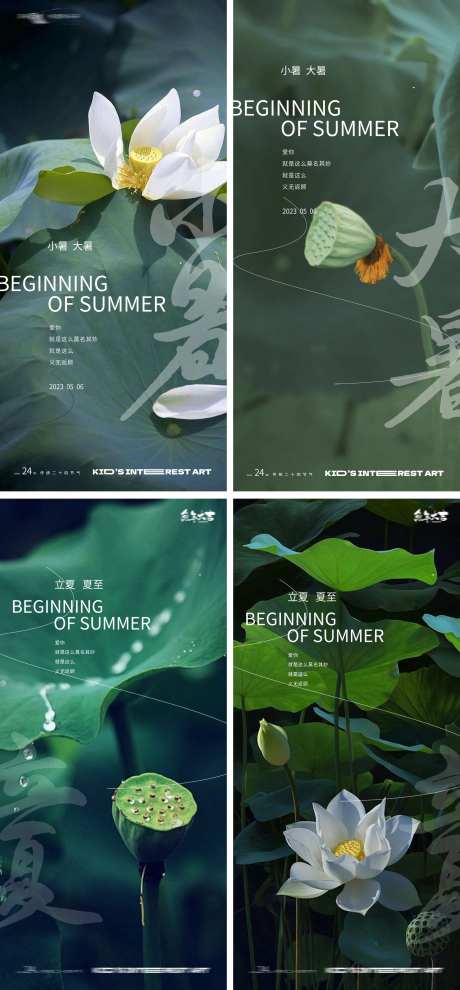 夏季荷花海报-采灵感-https://www.cailinggan.com/